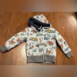 The Children’s Place Fleece Hoodie Size 2T Boy